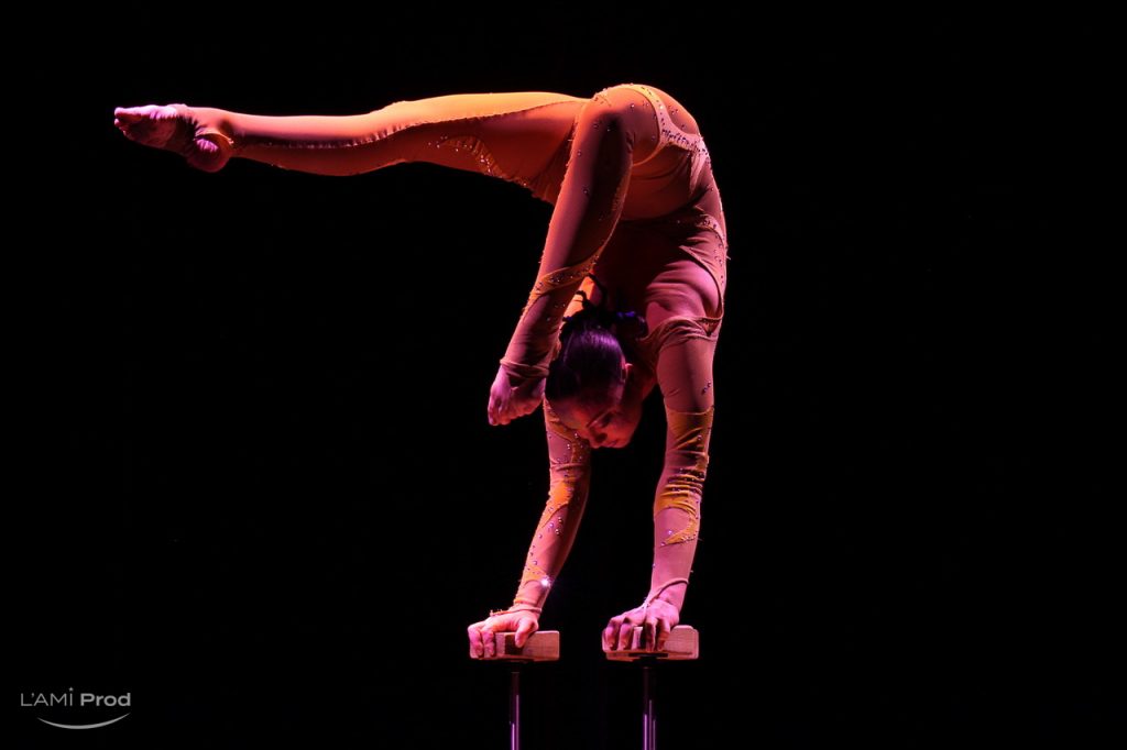 L'AmiProd-artistique-acrobate-performance2